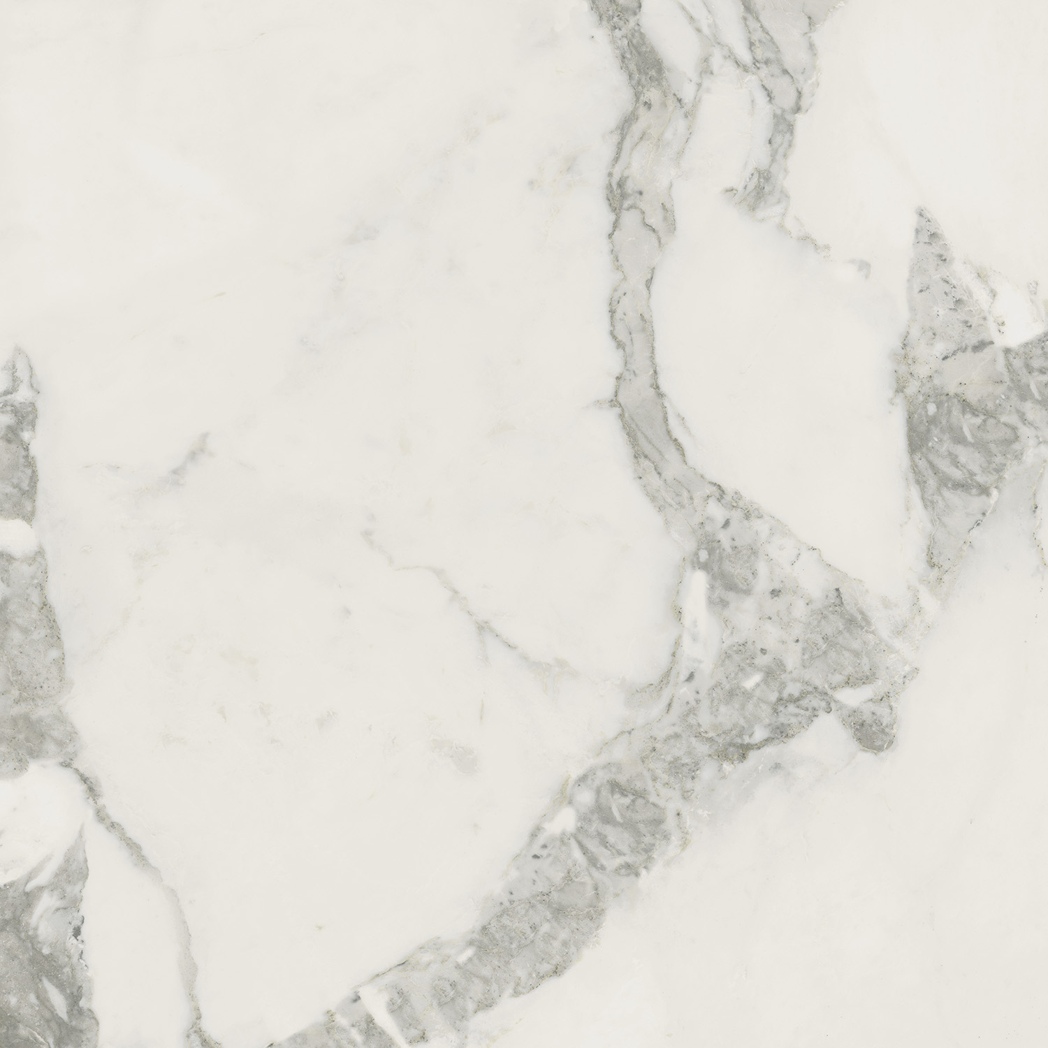 Керамогранит Coliseum арт Michelangelo Cold фото 1