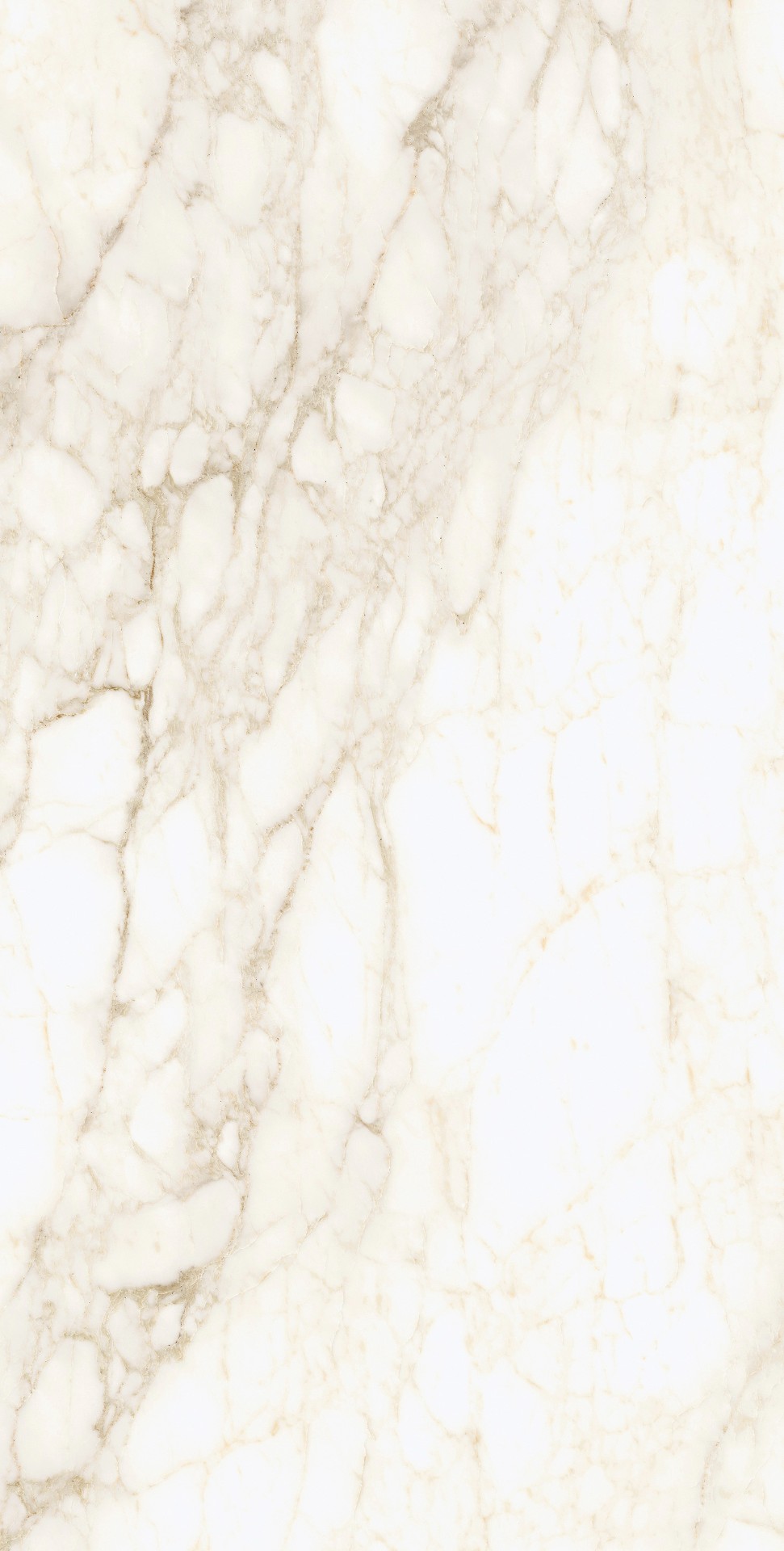 Керамогранит Coliseum арт Michelangelo Warm фото 1