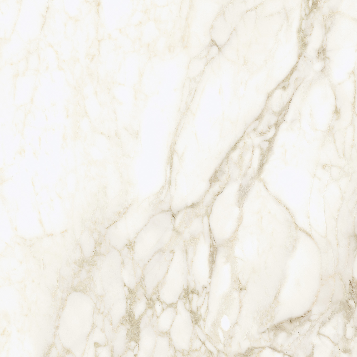 Керамогранит Coliseum арт Michelangelo Warm фото 1