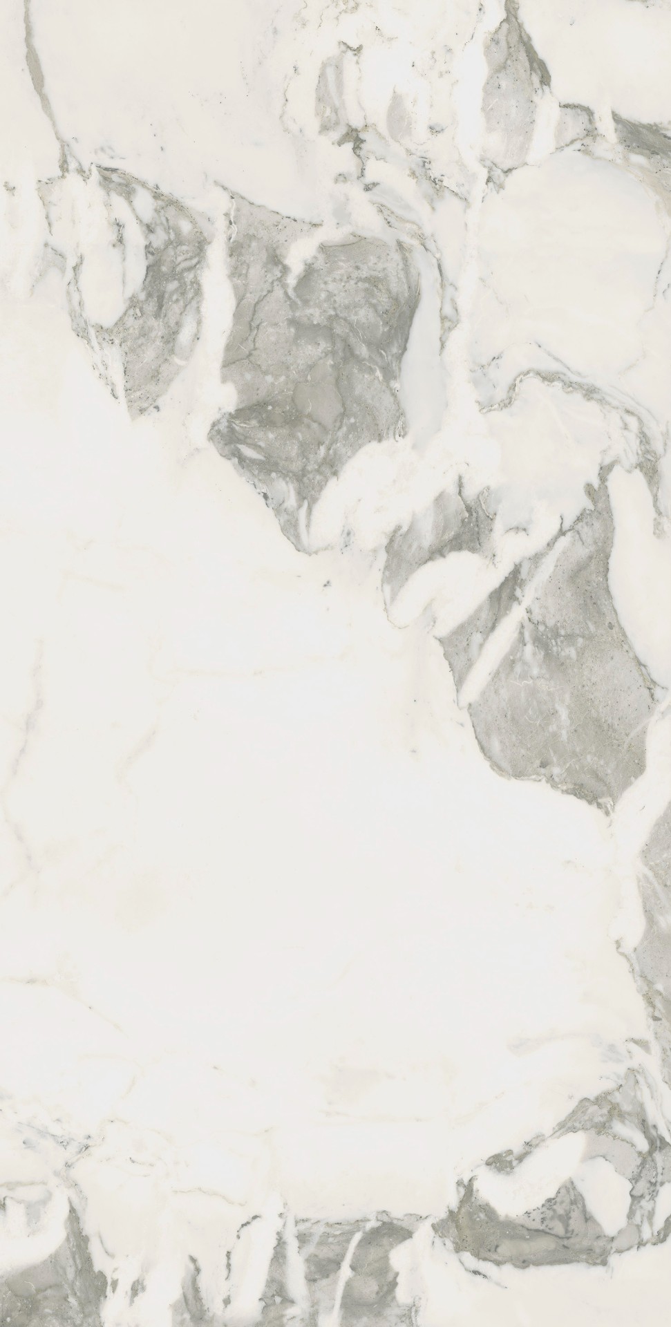 Керамогранит Coliseum арт Michelangelo Cold фото 1