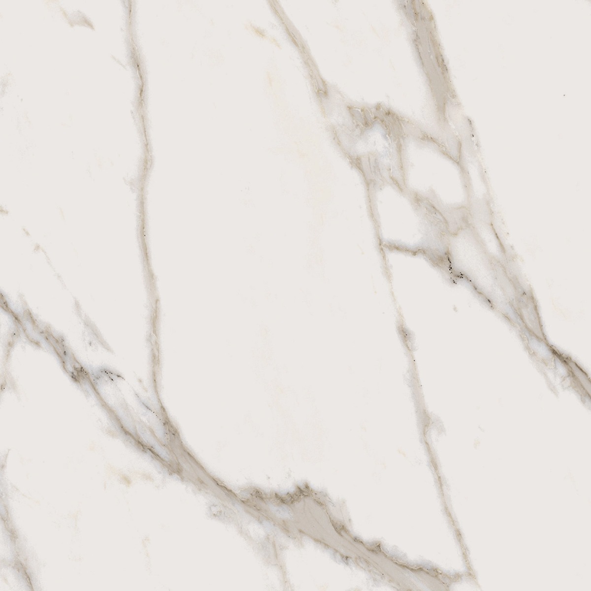 Керамогранит Italon арт Charme Evo Floor Project Calacatta фото 1