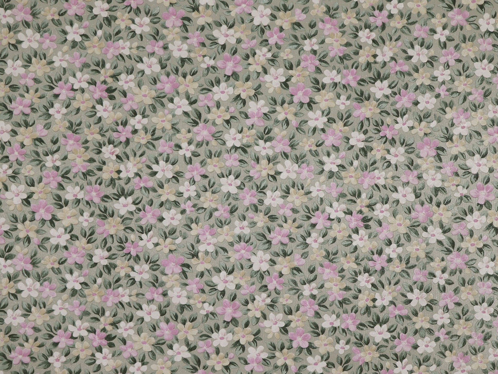 Обои Элизиум арт 29214 фото 1