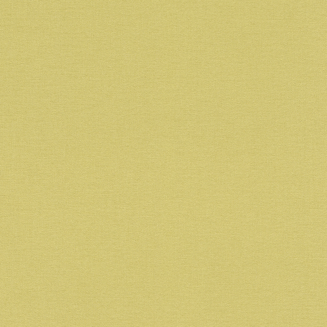 Обои Rasch арт 449839 фото 1