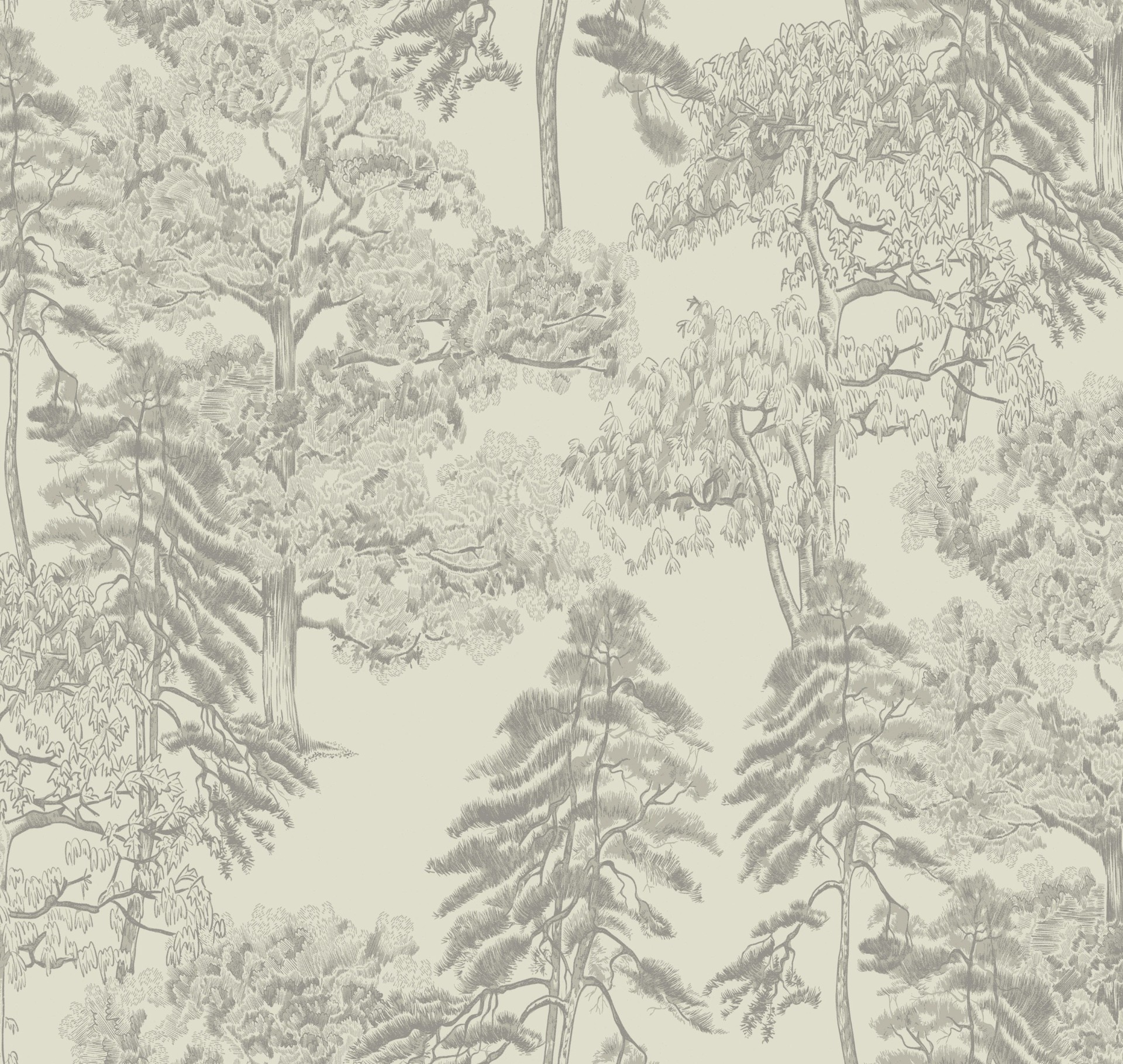 Обои Milassa арт Am5 001 фото 1