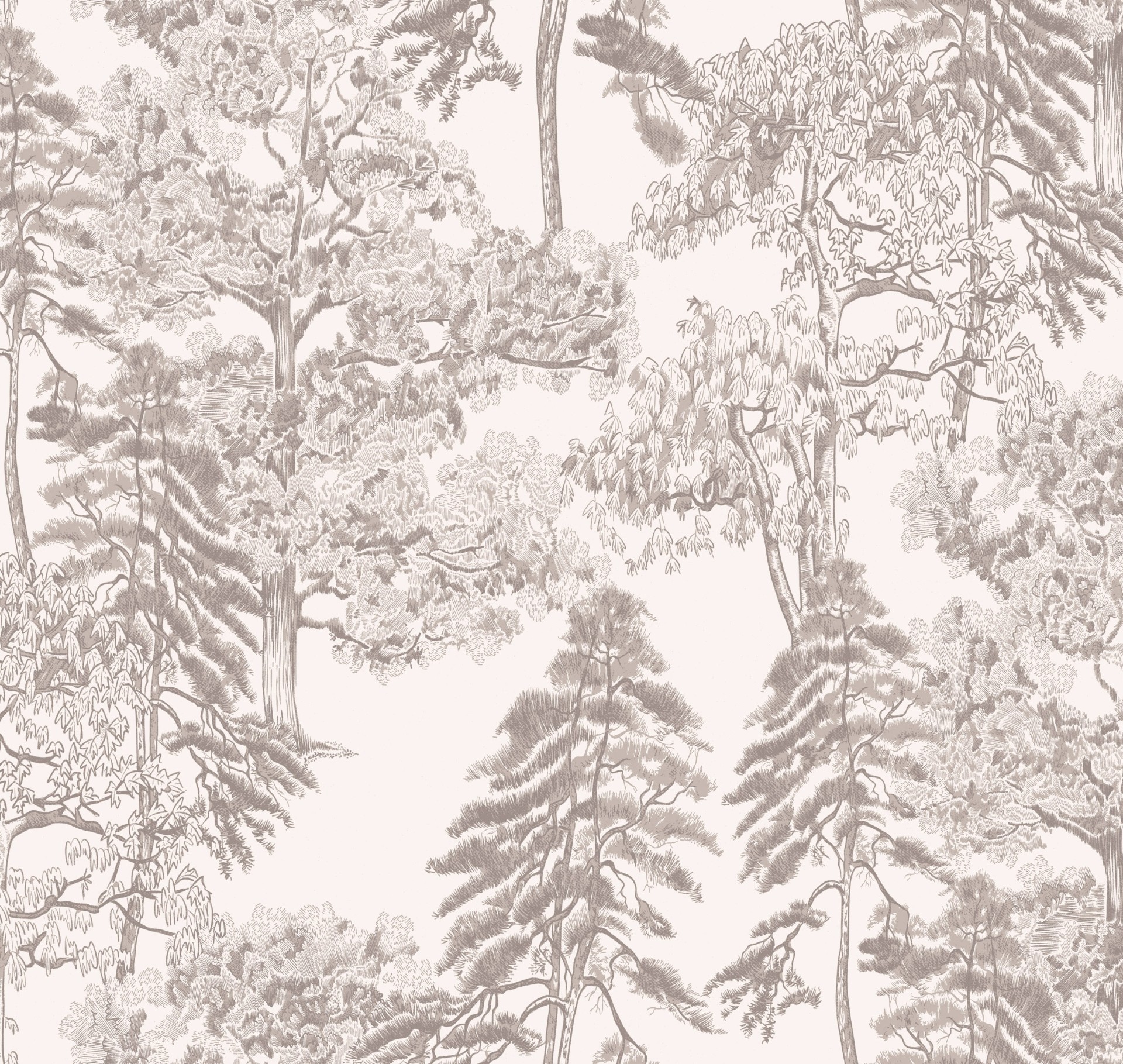 Обои Milassa арт Am5 001/1 фото 1