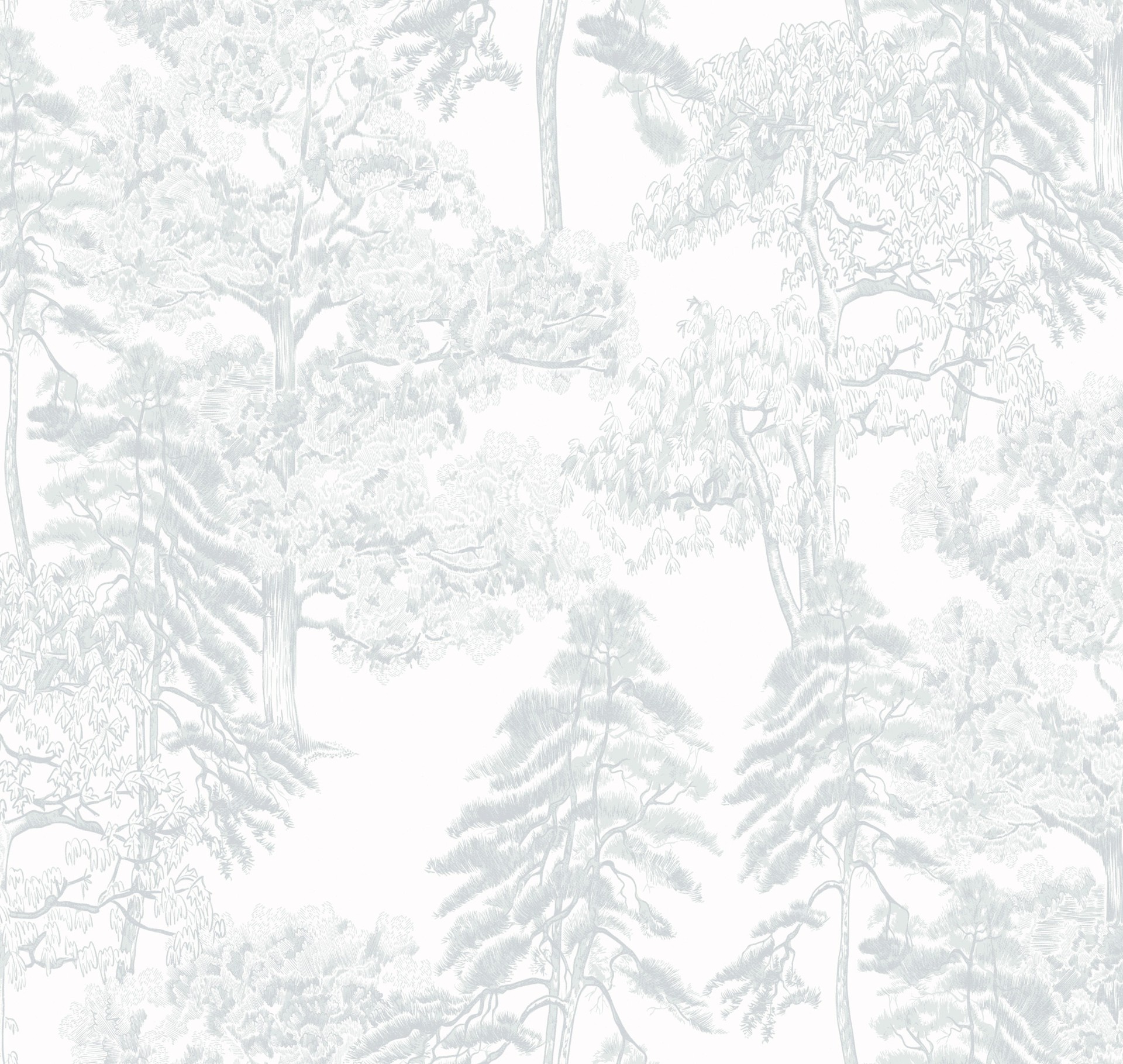 Обои Milassa арт Am5 001/2 фото 1