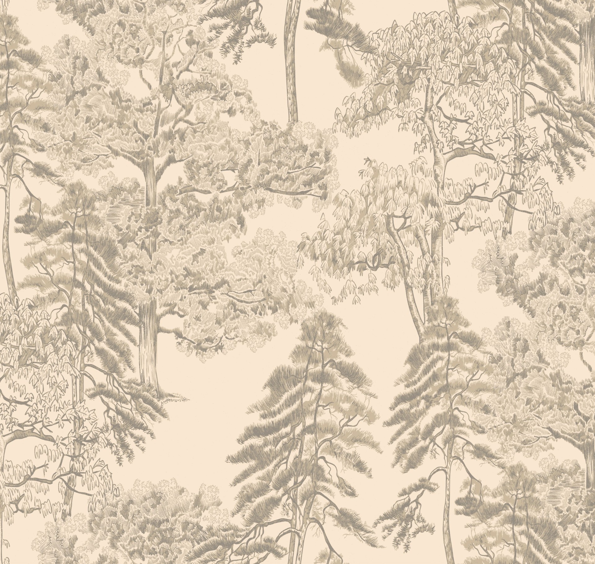 Обои Milassa арт Am5 002/1 фото 1