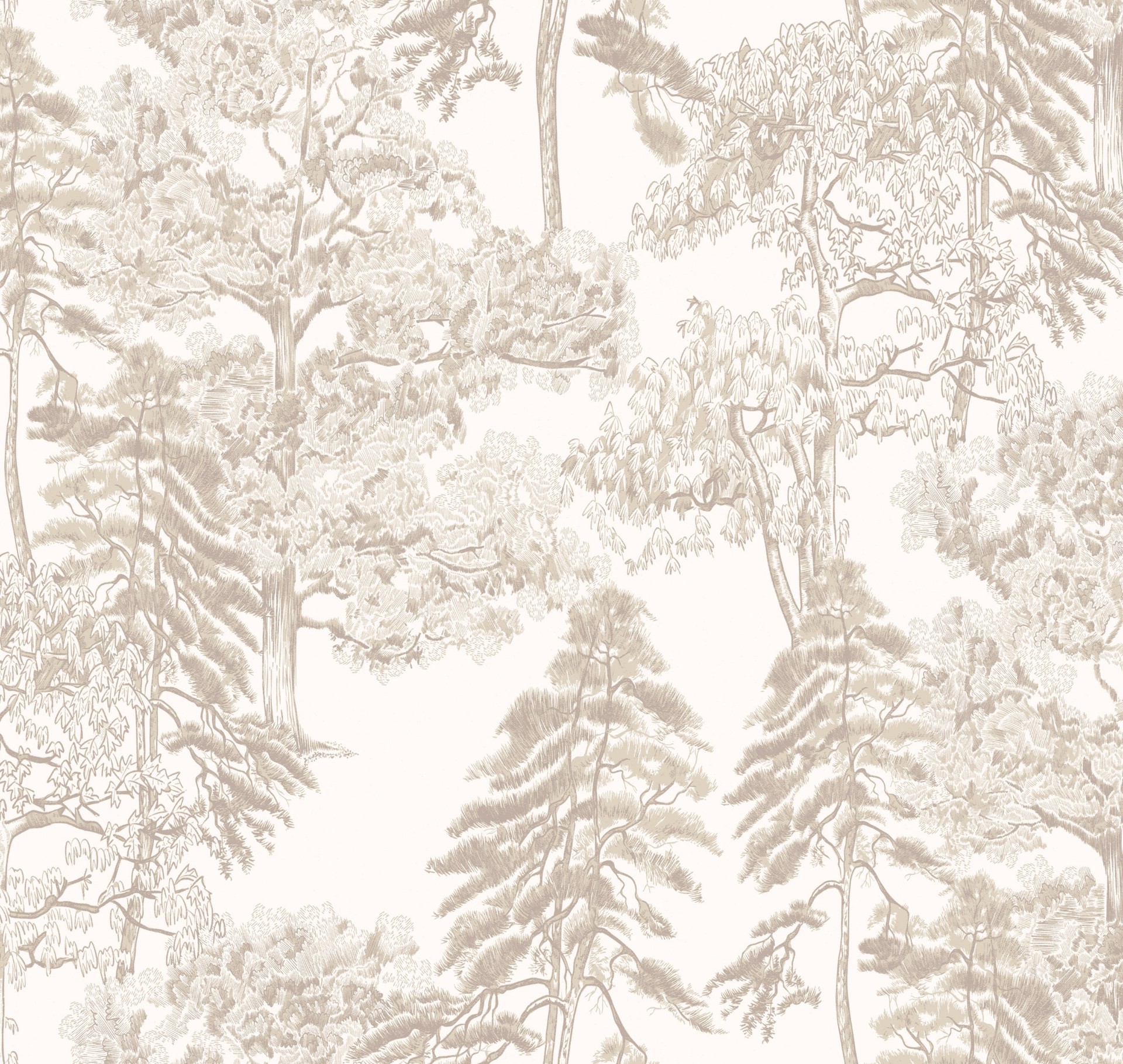 Обои Milassa арт Am5 002/2 фото 1