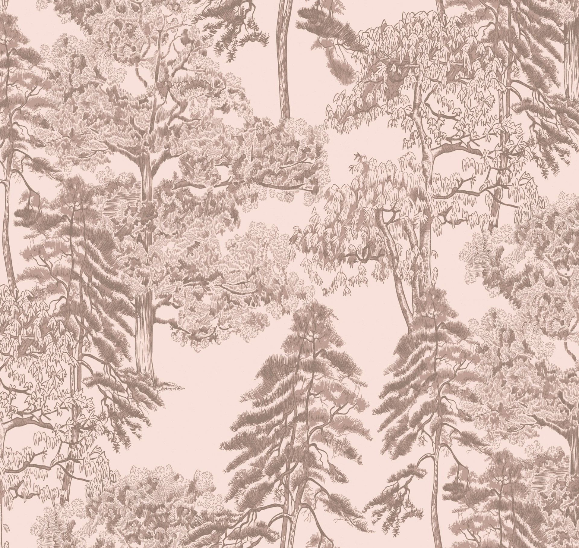 Обои Milassa арт Am5 003 фото 1