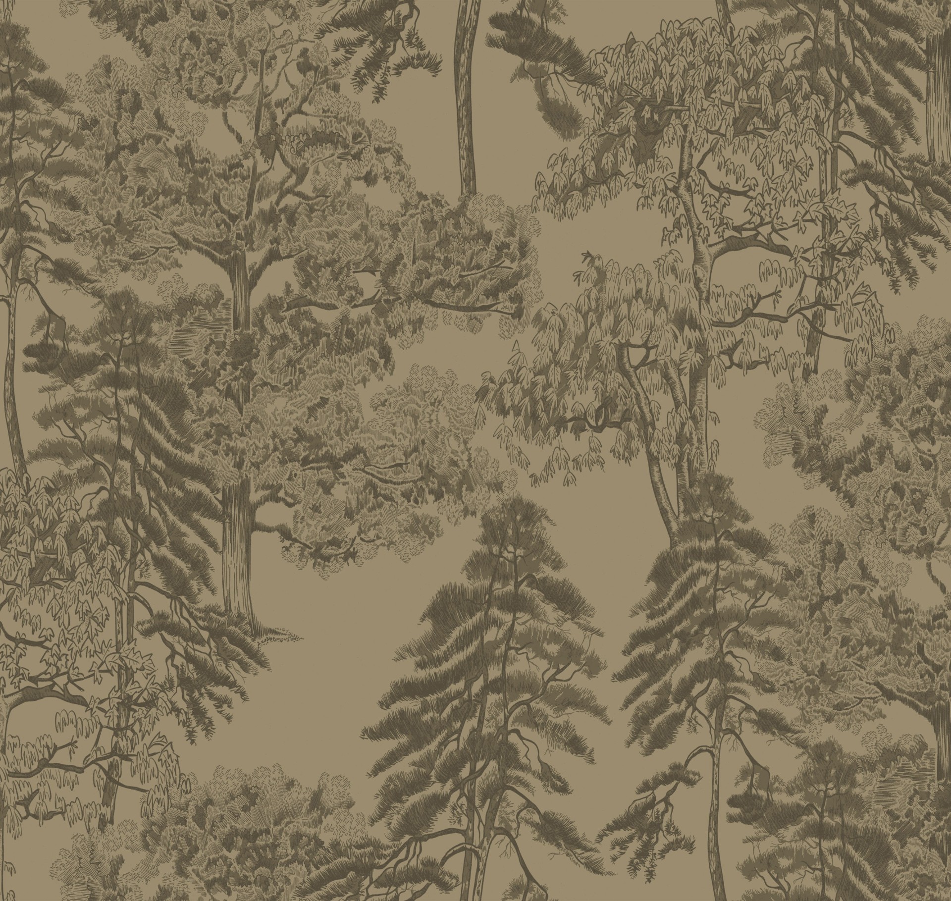 Обои Milassa арт Am5 005/1 фото 1