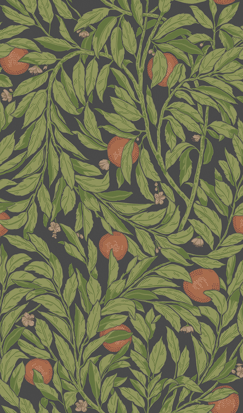 Обои Affresco арт CW1902-COL1 фото 1