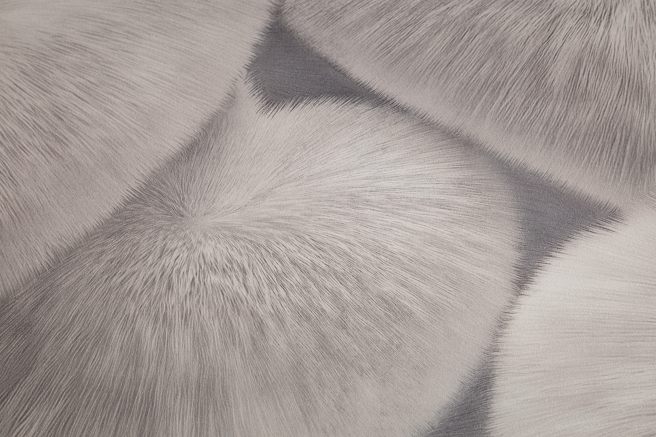 Обои Palitra Home арт HC72585-24 фото 6