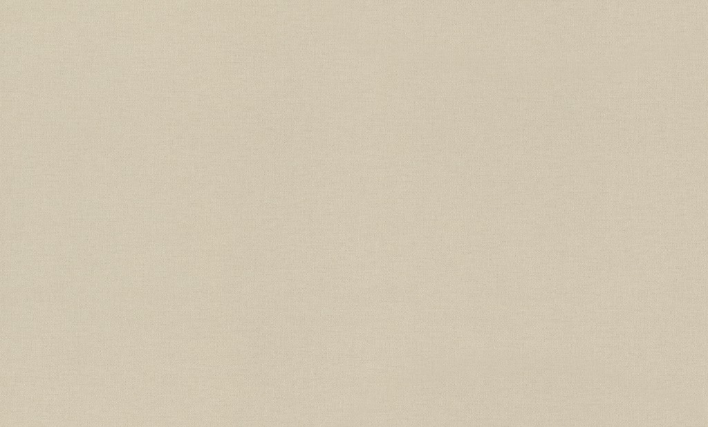 Обои Rasch арт 971378 фото 1