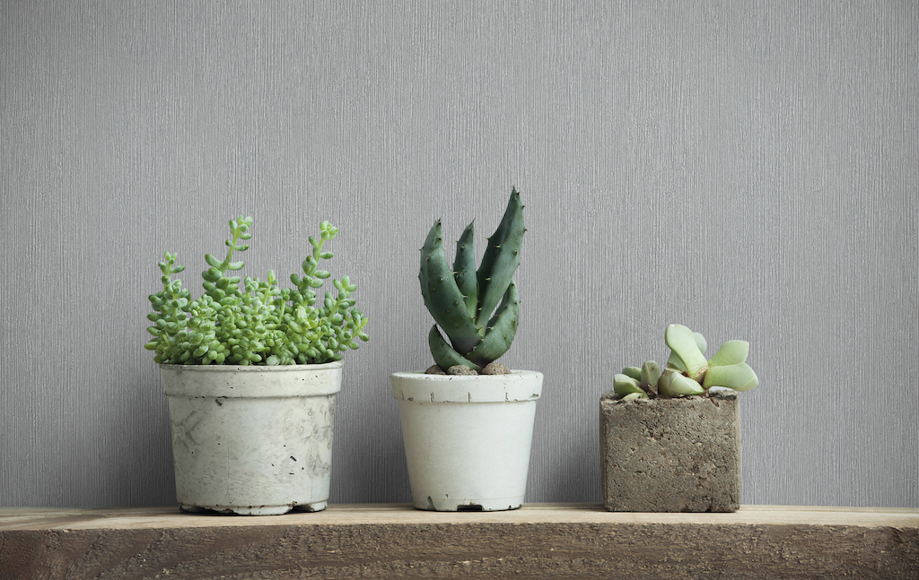 Обои Marburg арт 35303 фото 4