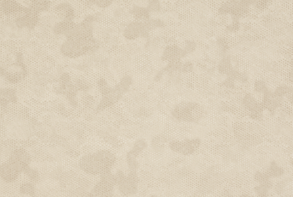 Обои Fipar арт R24128 фото 1