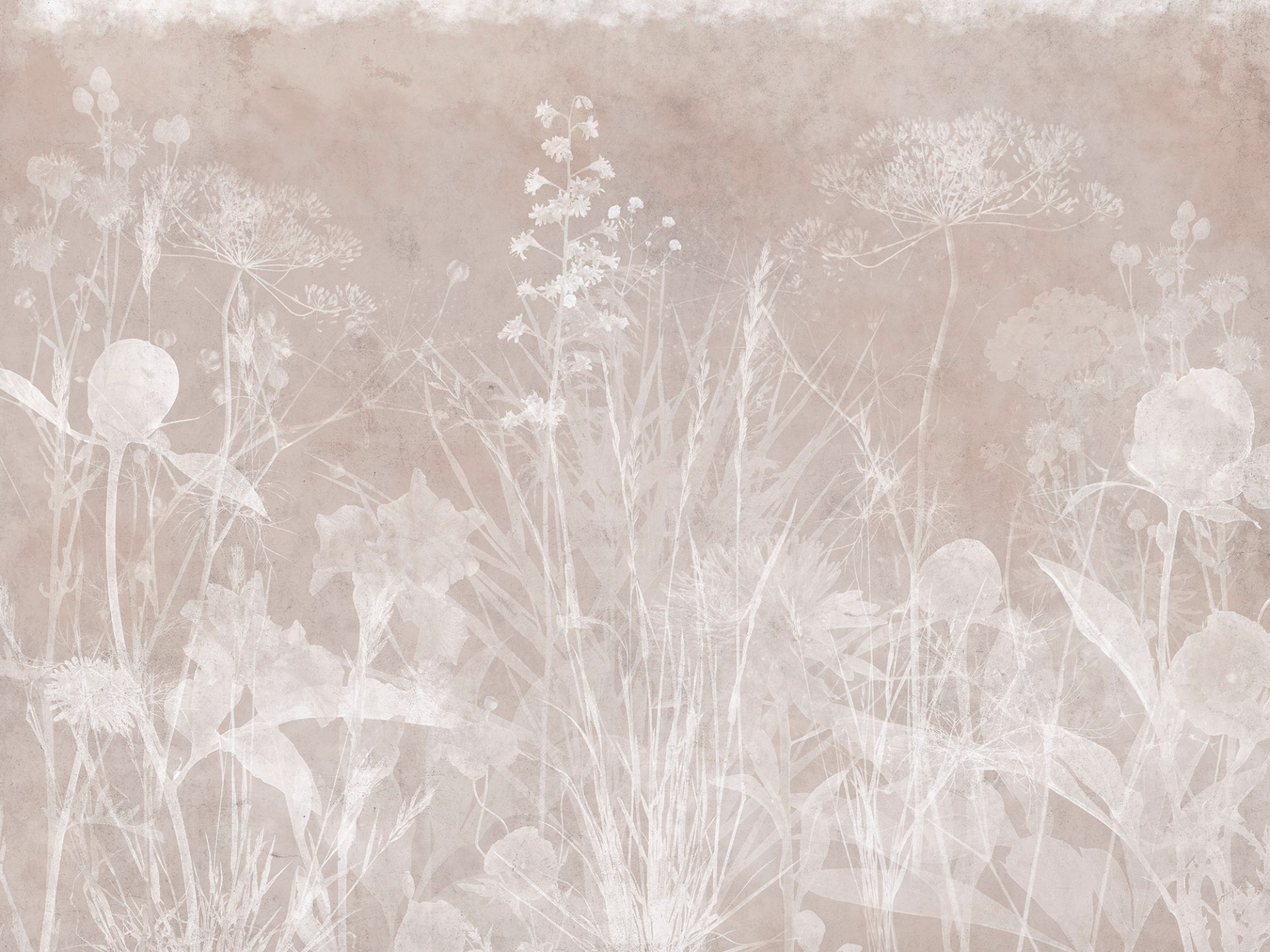 Фрески Ortograf арт 35909 фото 1