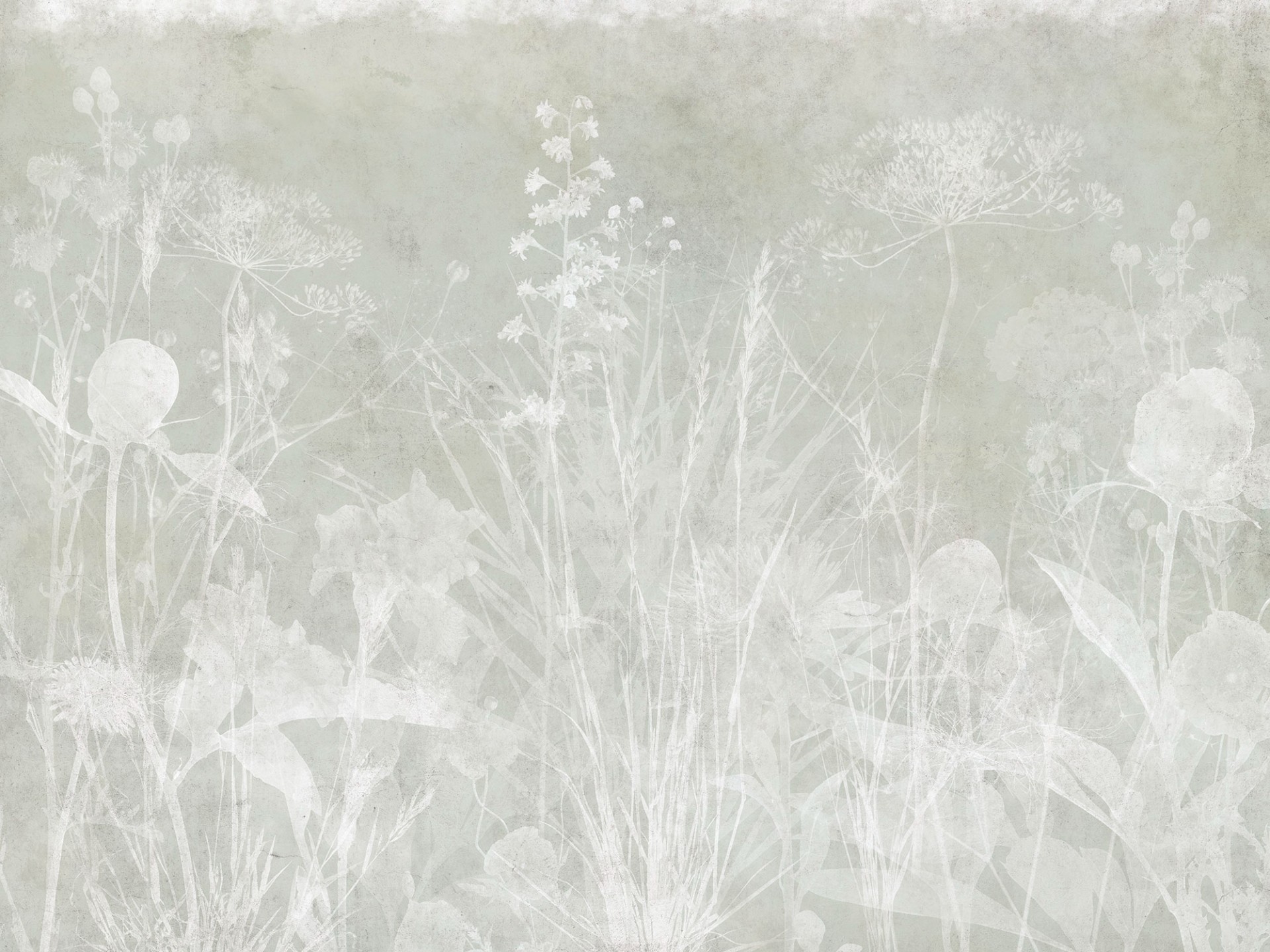 Фрески Ortograf арт 35911 фото 1