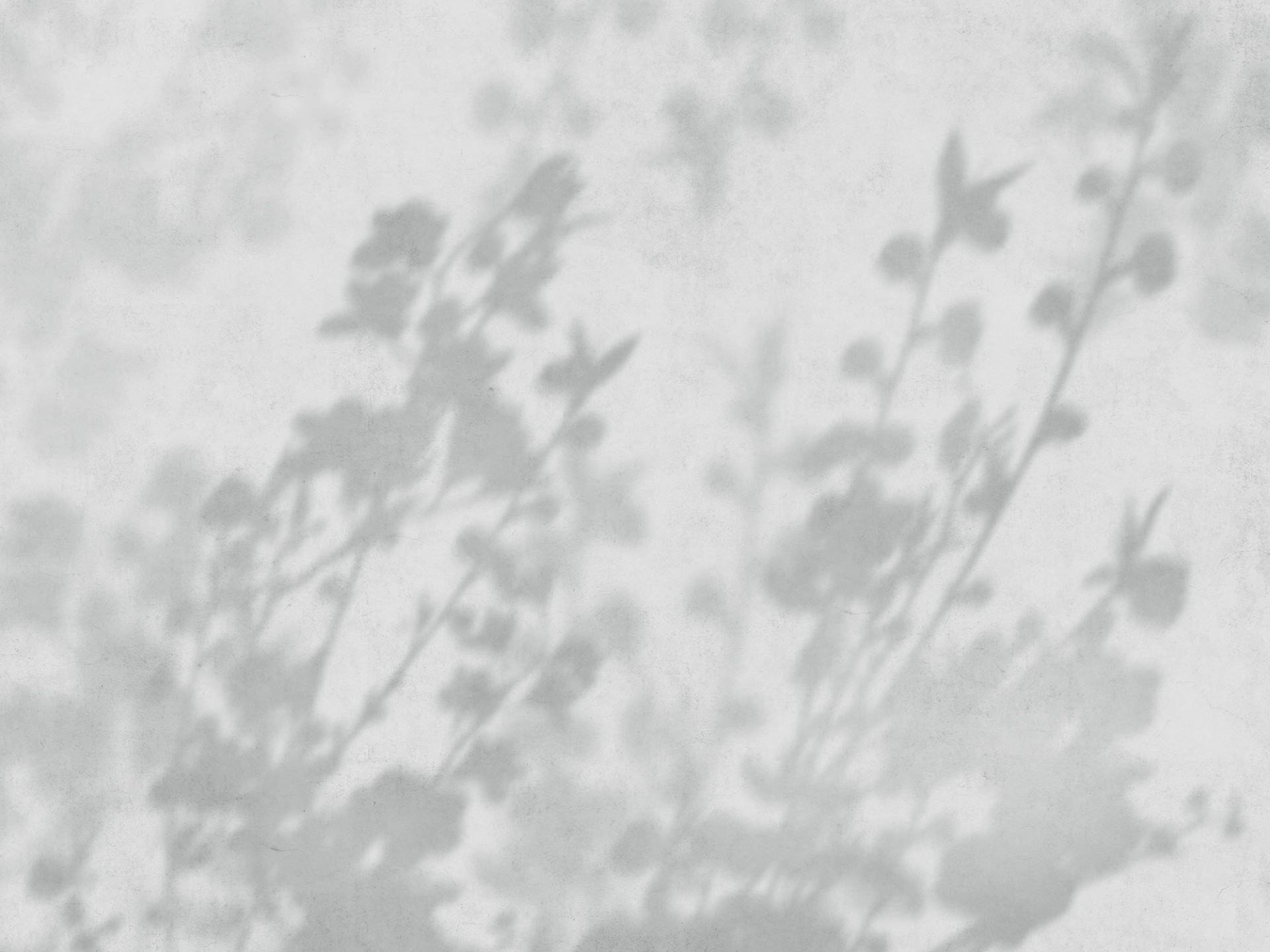 Фрески Ortograf арт 35917 фото 1