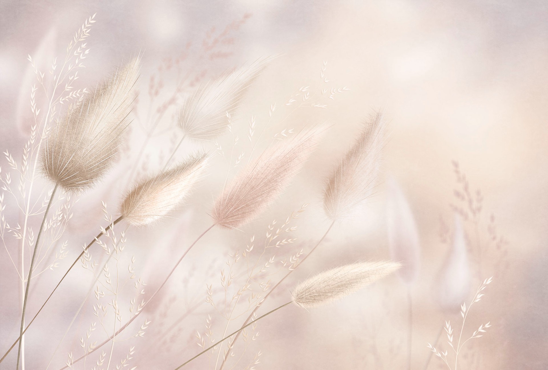 Фрески Ortograf арт 35921 фото 1