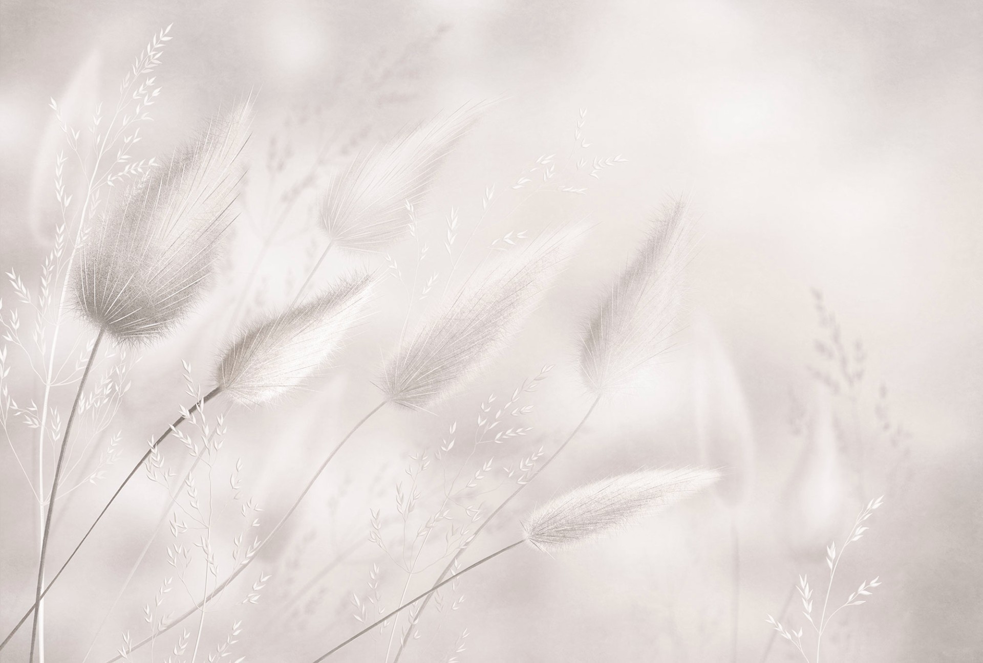 Фрески Ortograf арт 35922 фото 1