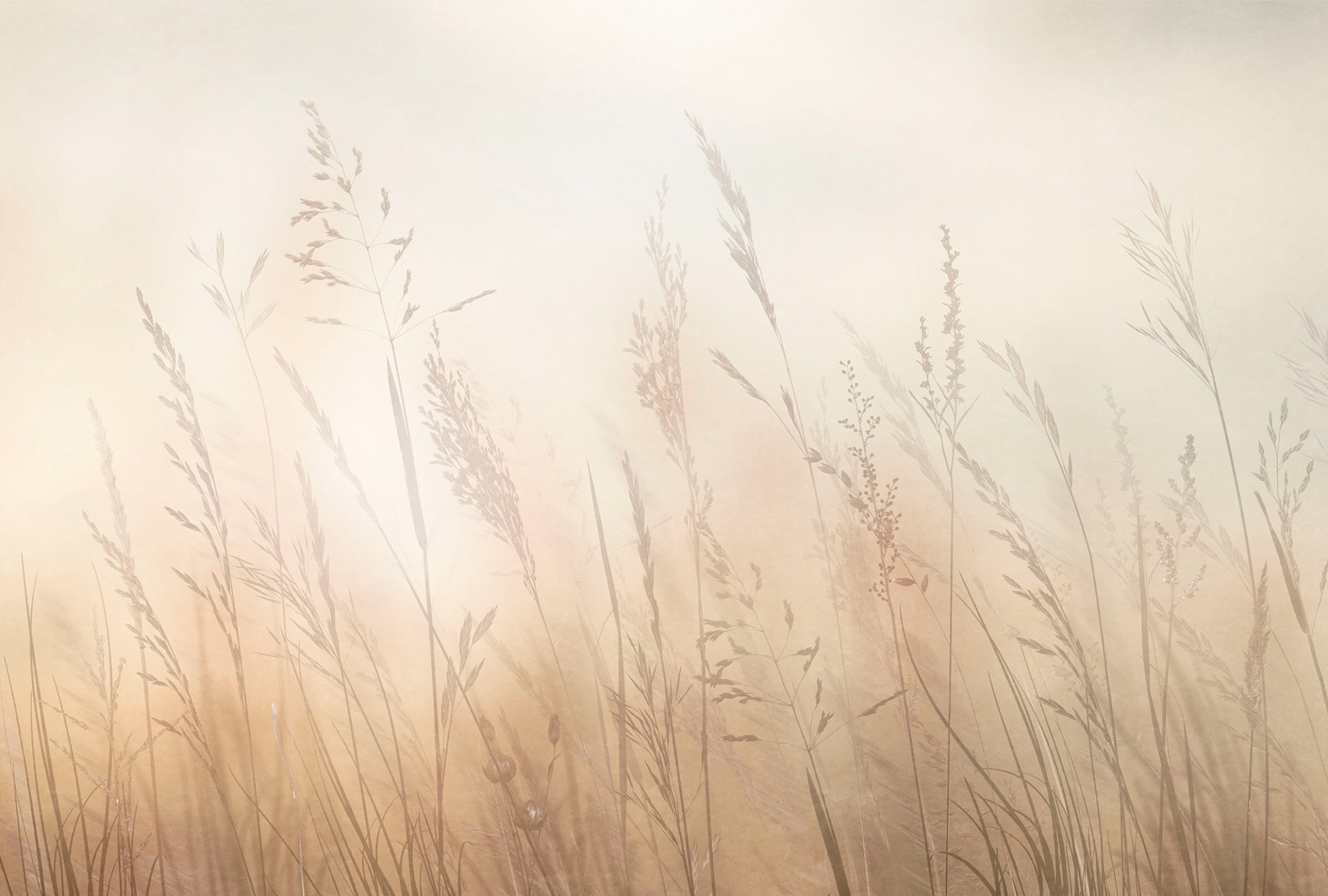 Фрески Ortograf арт 35924 фото 1