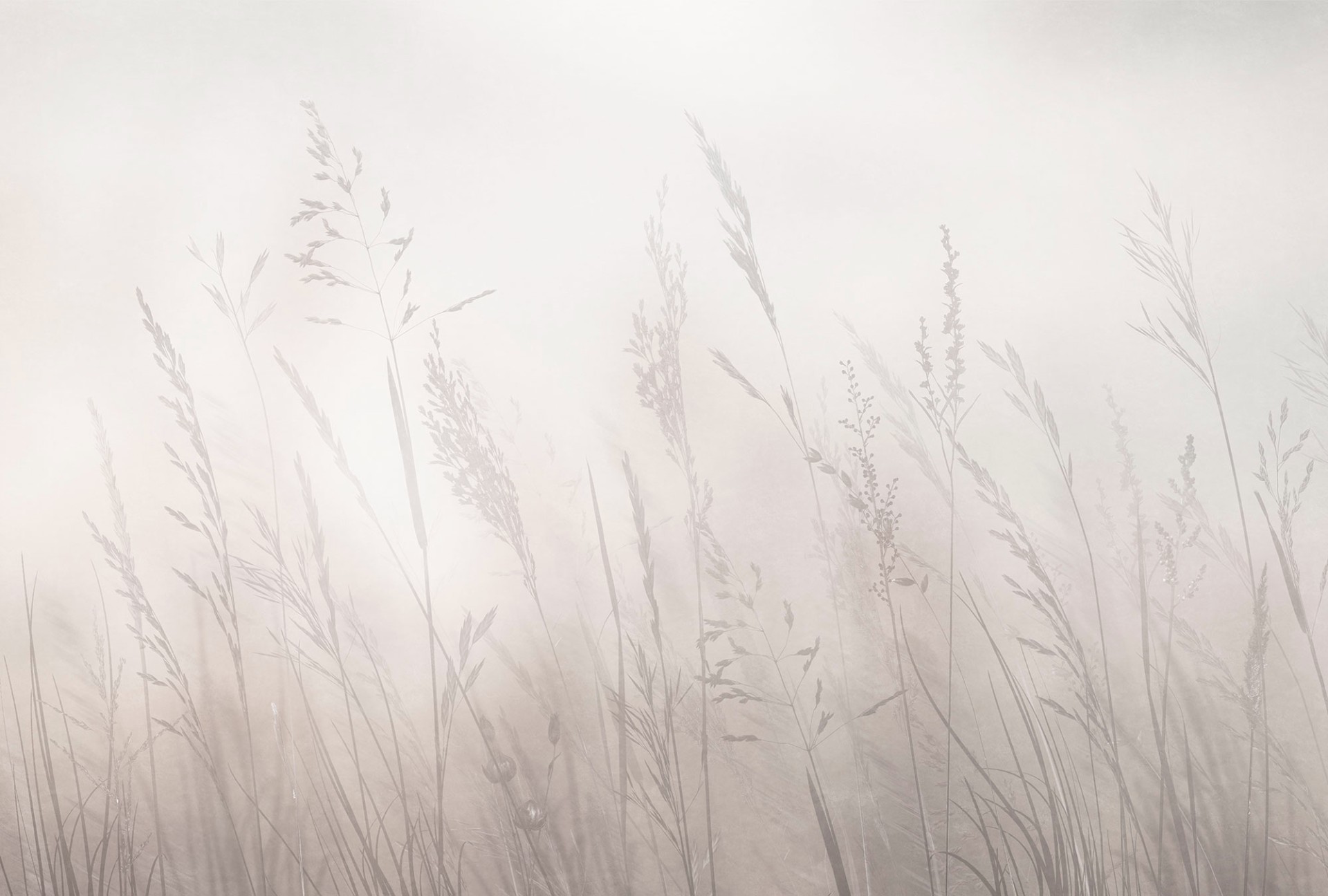 Фрески Ortograf арт 35925 фото 1