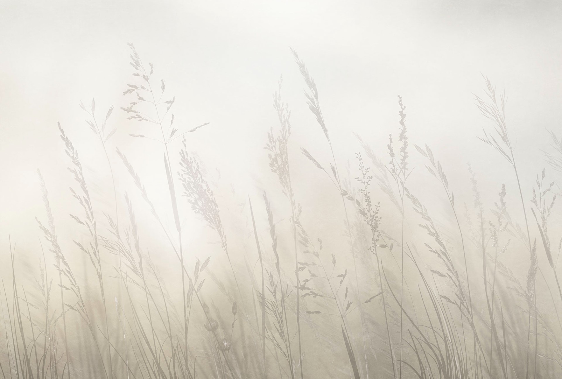 Фрески Ortograf арт 35926 фото 1