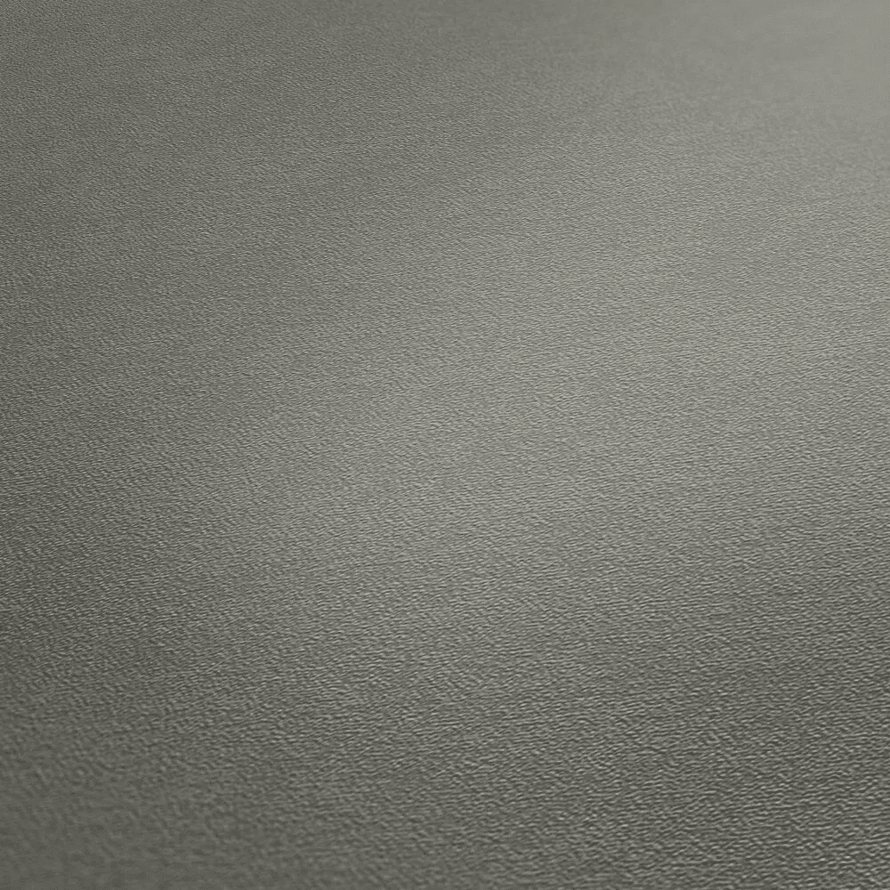 Обои A.S.Creation арт 39938-1 фото 5