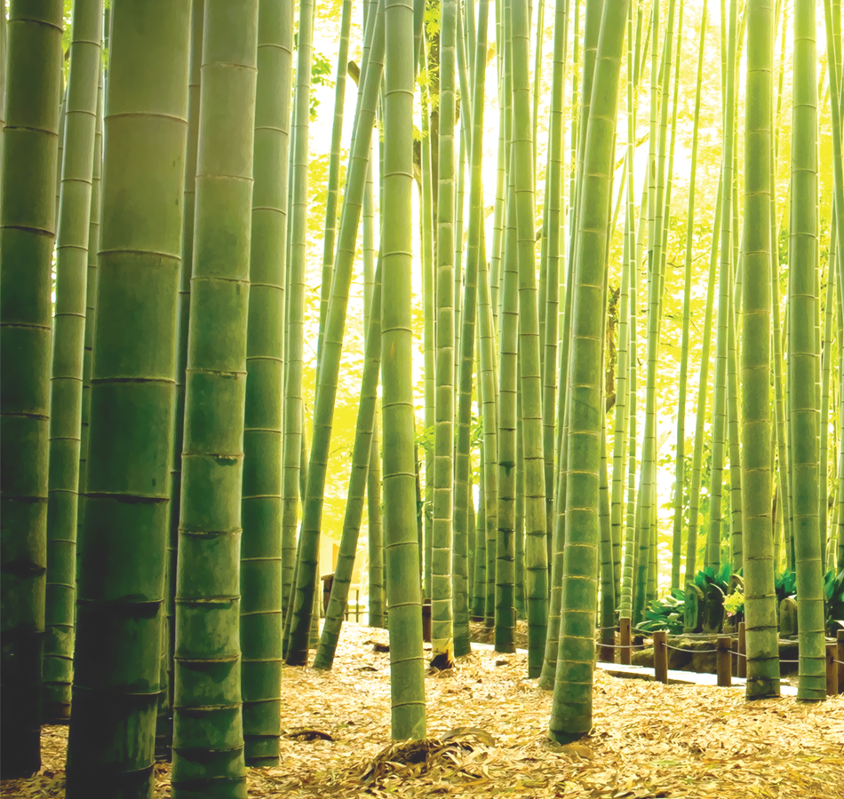 Панно Loymina арт DS 025 фото 1