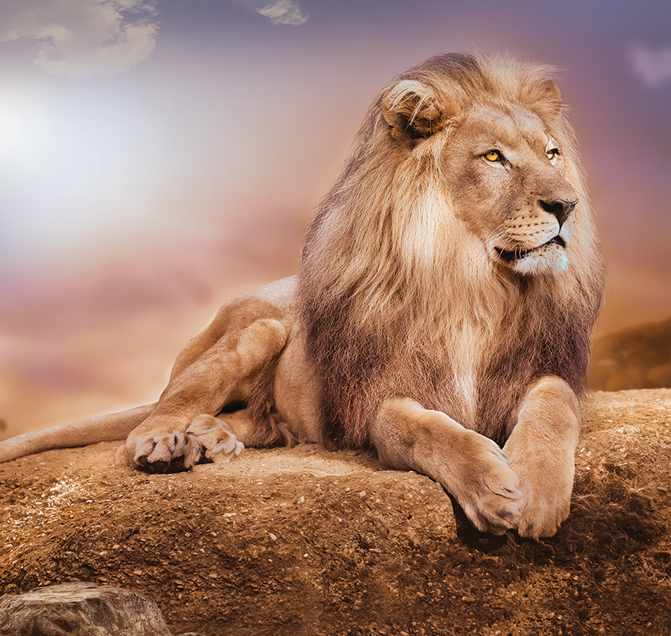 Панно Loymina арт DA 008 фото 1