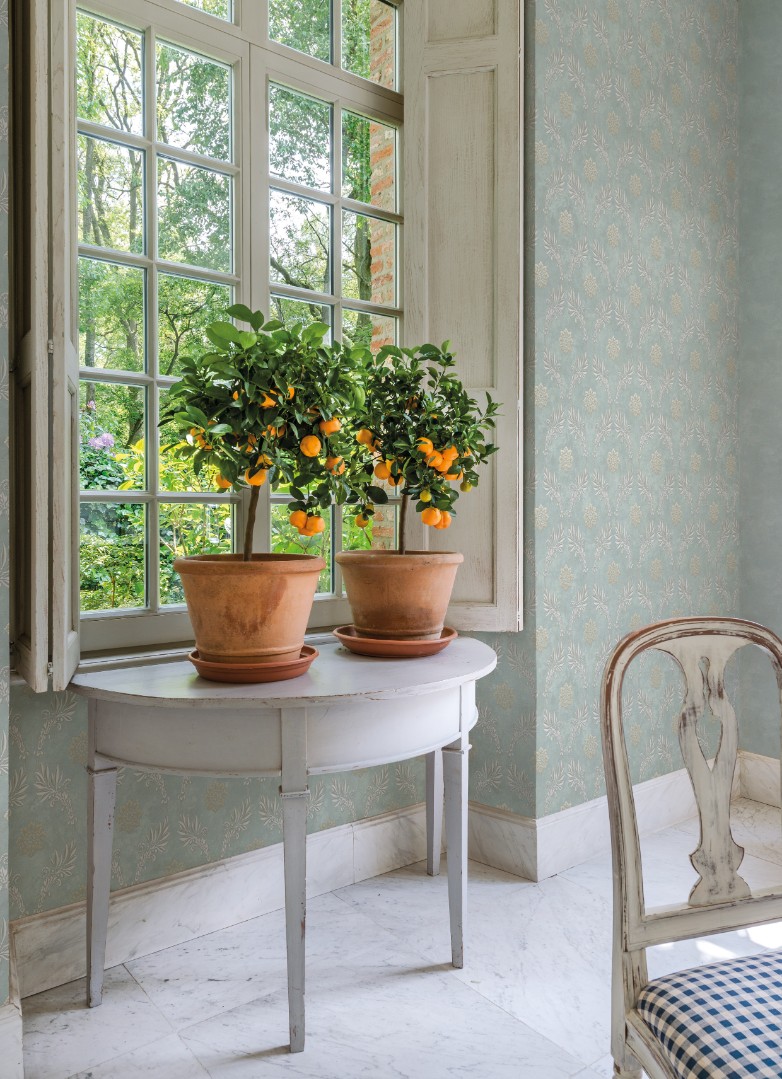 Обои Loymina арт Td2 006 фото 2