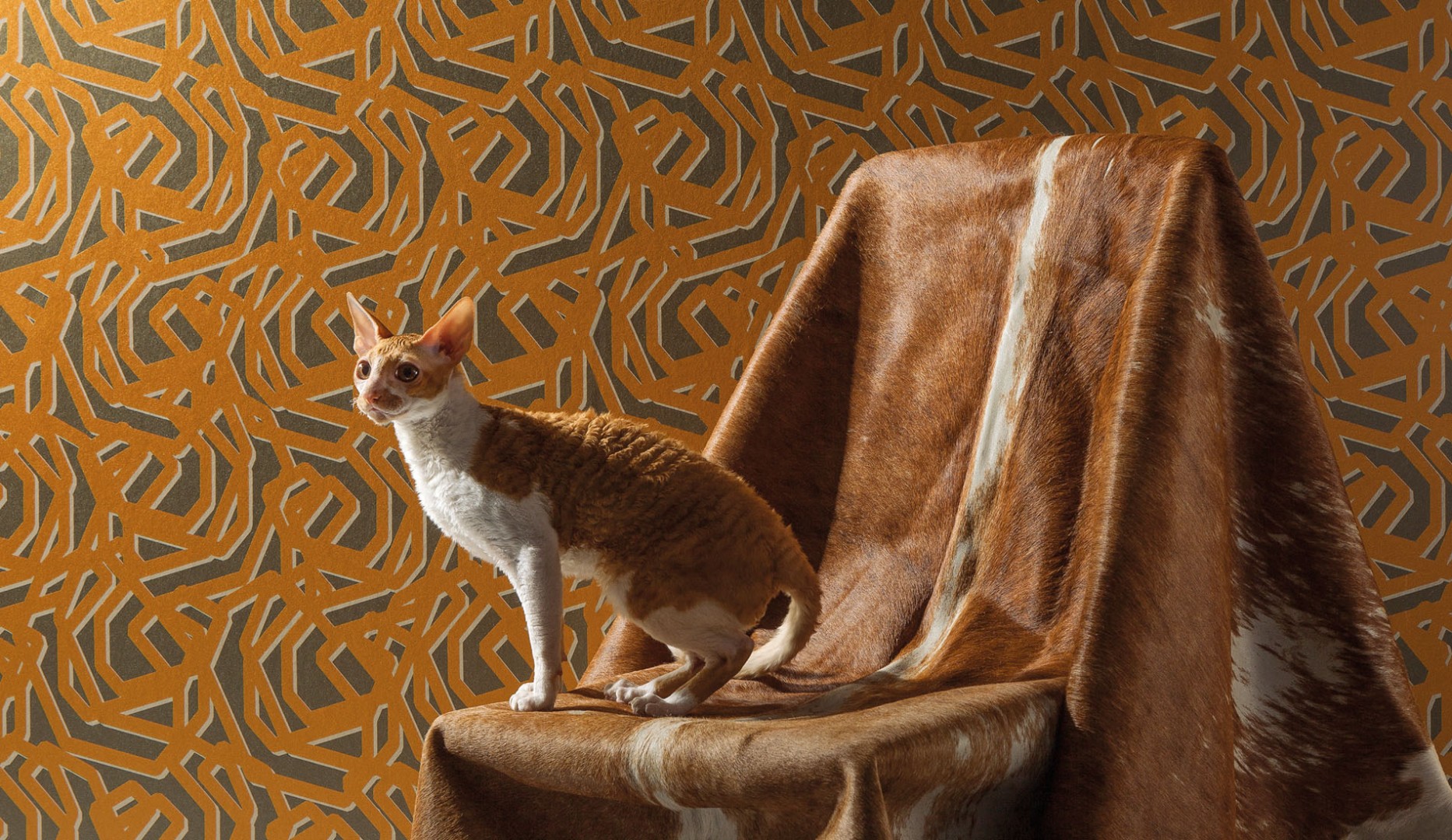 Обои Milassa арт Loft 31 003 фото 2