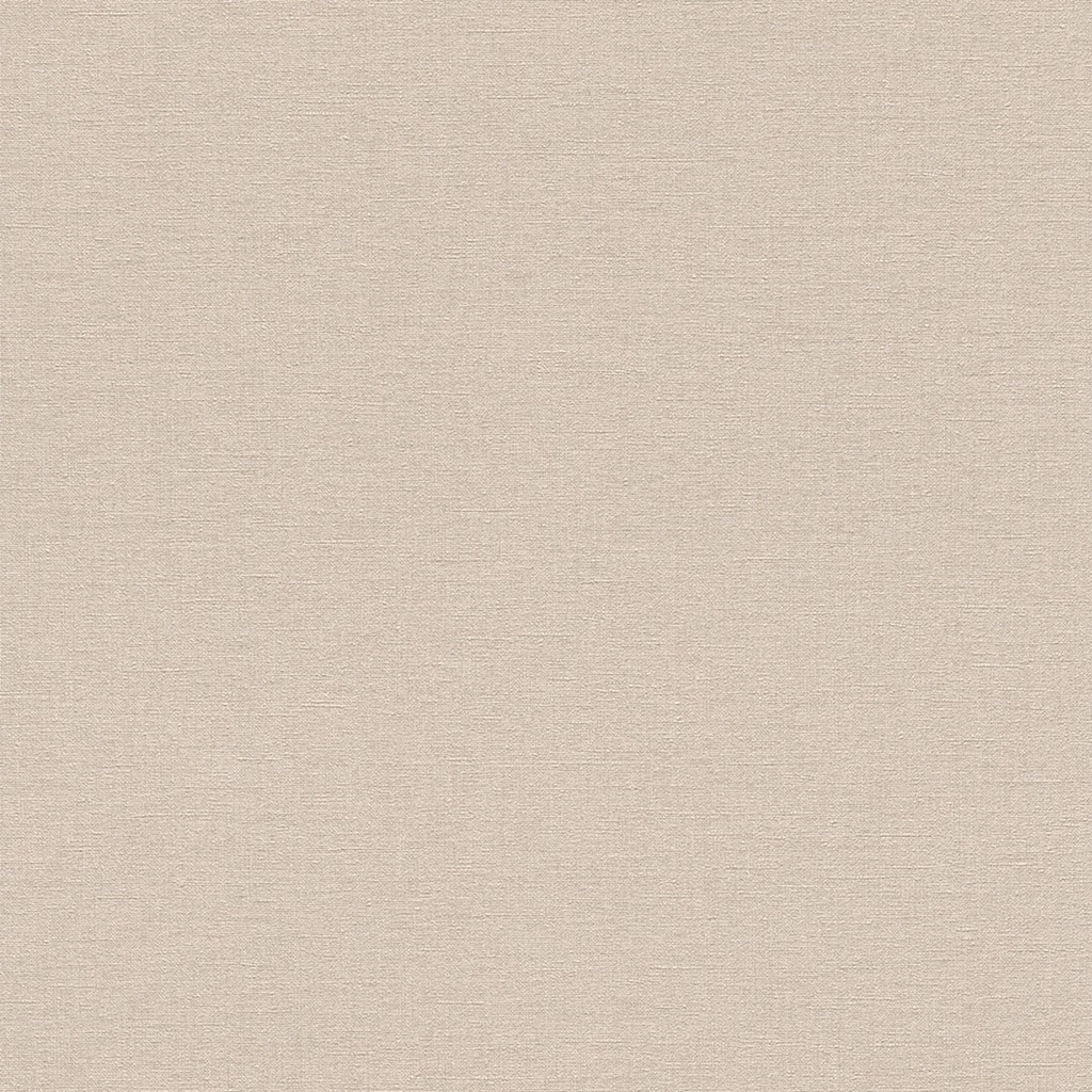 Обои Rasch арт 448634 фото 1