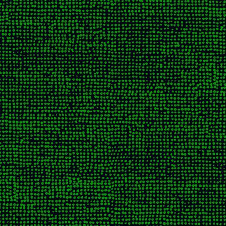 Обои Marimekko арт 23310 JV фото 1