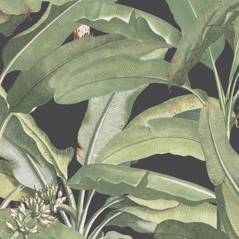 Обои Aura арт MH36535 фото 1