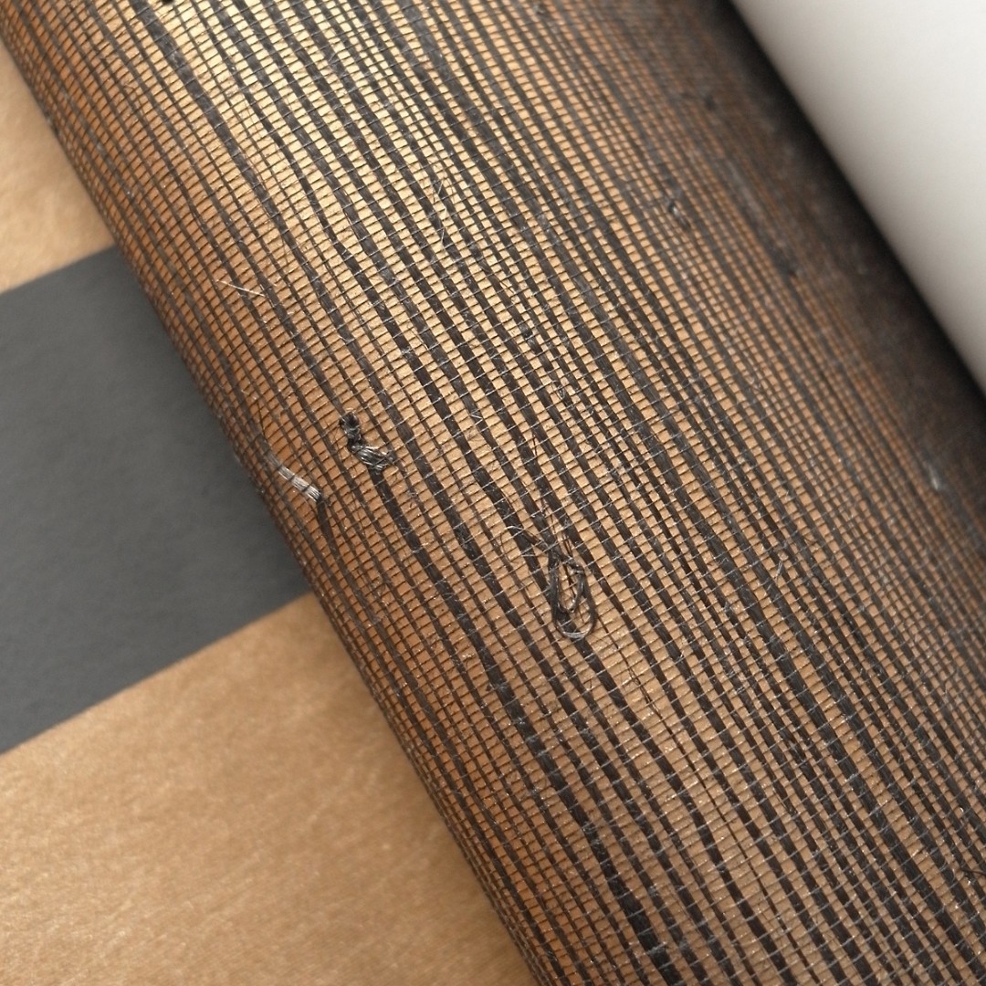 Обои Trendsetter арт WA005 фото 2