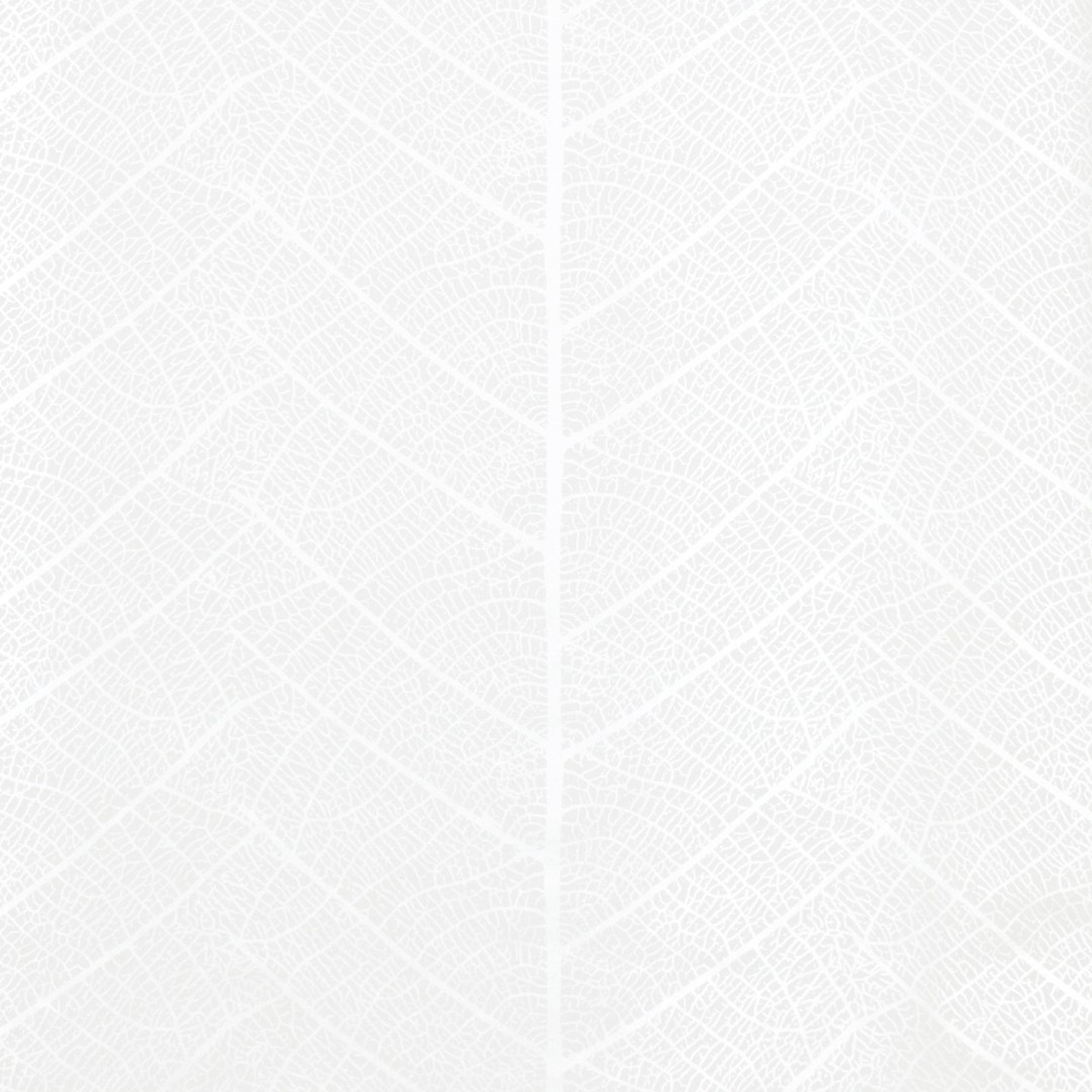 Обои Sandudd арт 4955-2 фото 1