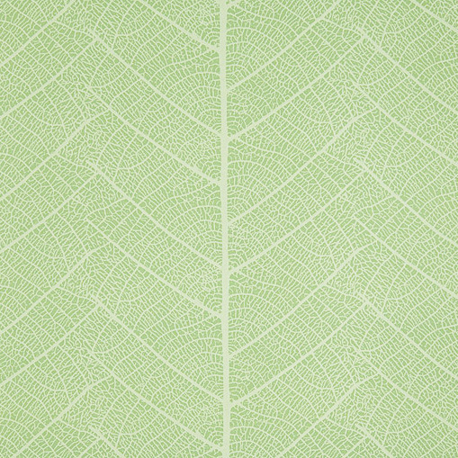 Обои Sandudd арт 4955-3 фото 1