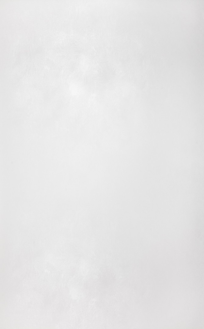 Обои Sandudd арт 5233-1 фото 1