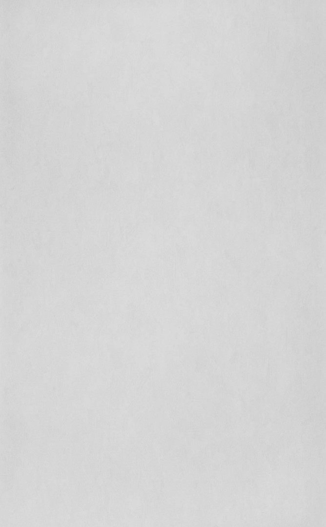 Обои Sandudd арт 5233-2 фото 1