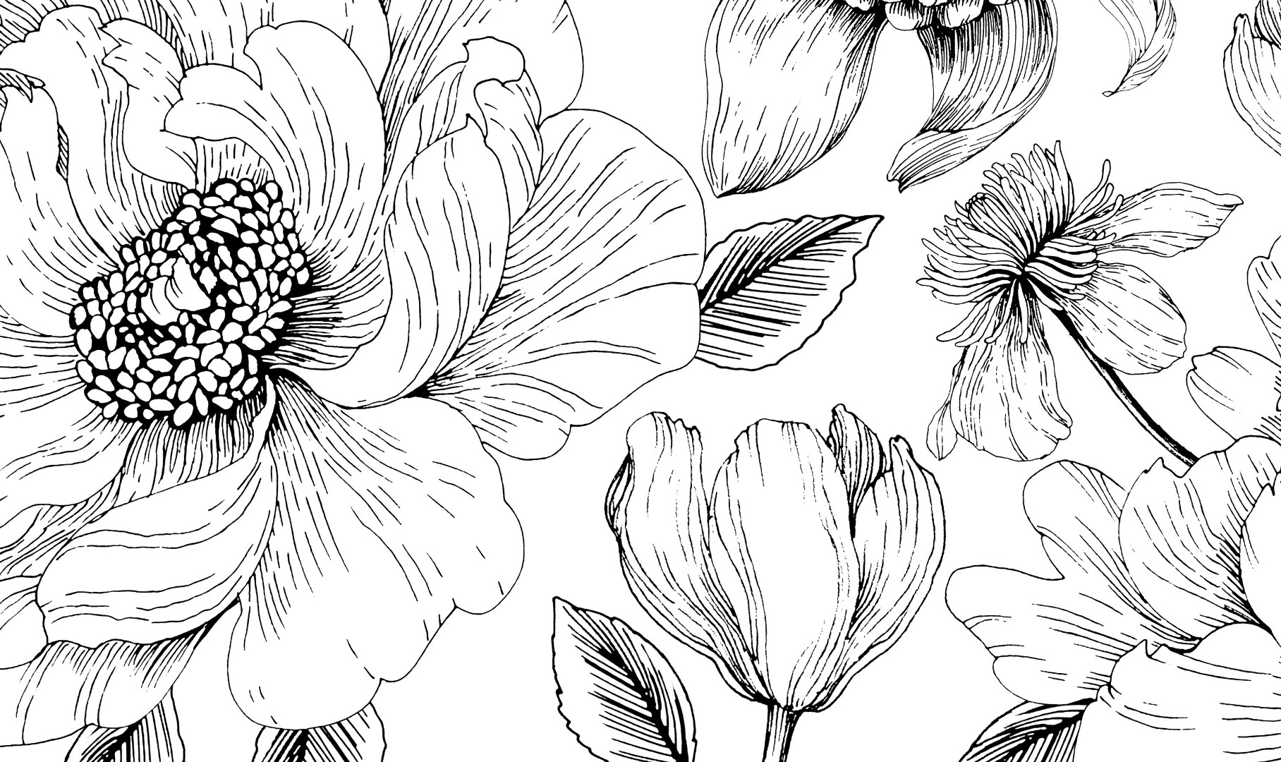 Обои Vallila арт 5242-1 фото 1