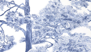 Обои Vallila арт 5141-3 фото 1