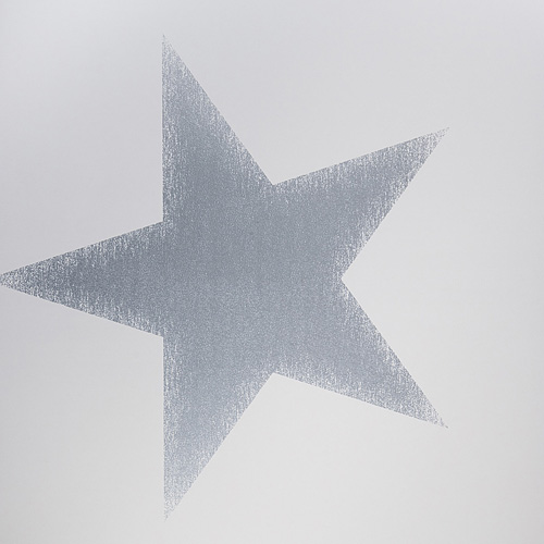 Обои Wallfashion арт 4996-1 фото 1