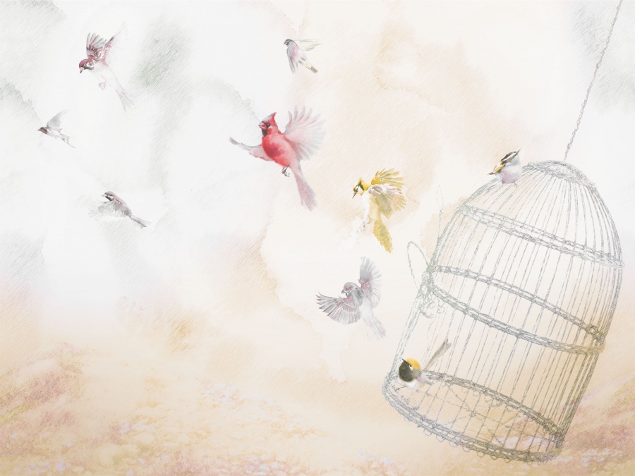 Фрески Affresco арт ML473-COL1 фото 1