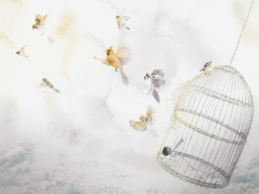 Фрески Affresco арт ML473-COL3 фото 1