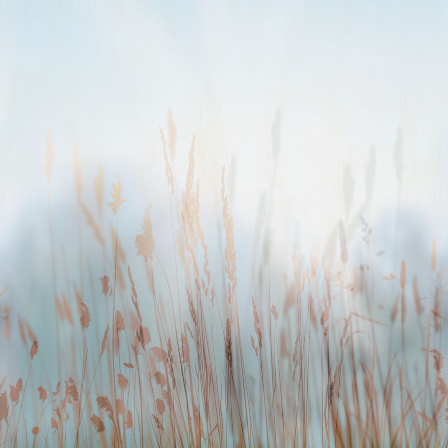 Фрески Affresco арт ZK420-COL2 фото 1