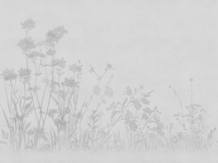 Фрески Affresco арт ZK432-COL1 фото 1