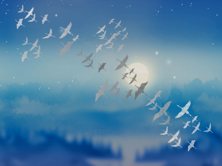 Фрески Affresco арт ZK444-COL1 фото 1