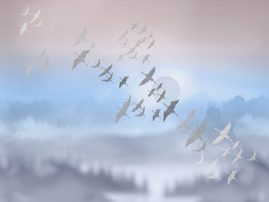 Фрески Affresco арт ZK444-COL2 фото 1