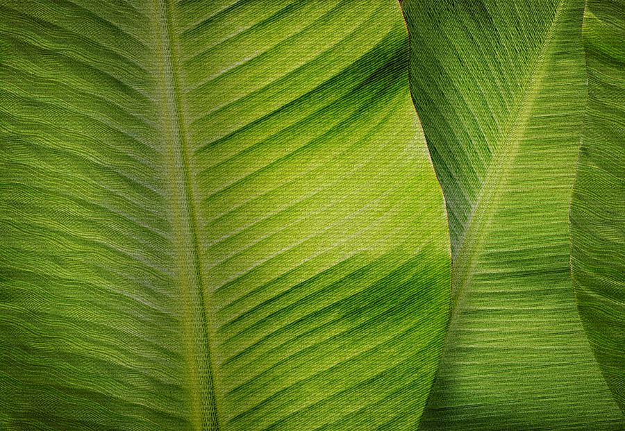 Фрески Affresco арт ID136392 фото 1